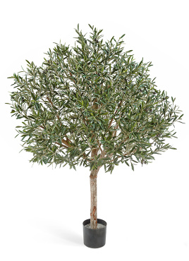 Олива натуральная топиари с плодами