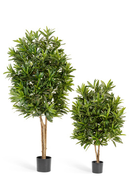 Кротон Голдфингер