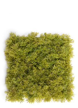 Мох Ягель светло-зелёный микс (коврик)