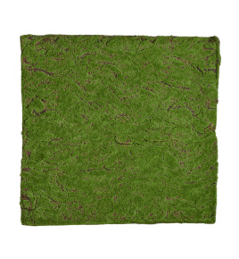 Мох Soft Light полотно 100х100 см