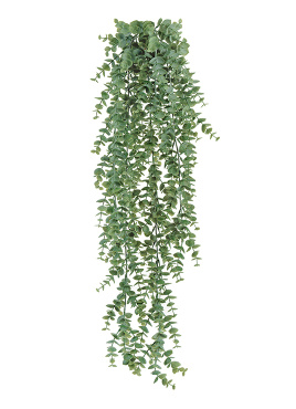 Эвкалипт св.серый припылённый куст ампельный