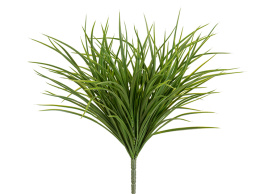 Трава Грасс Мидл куст