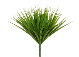 Трава Литл Сворд куст зелёный микс