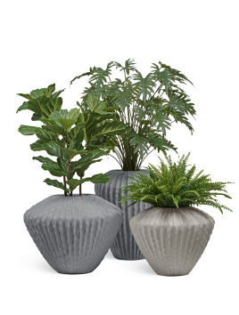 Сет № 18 - Композиция Триптих с Филодендроном Ксанаду в кашпо Treez Effectory Moho