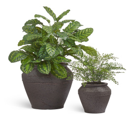 Сет № 64 - Композиция с Калатеей и Папоротником Адиантум в кашпо Treez Ergo Nero