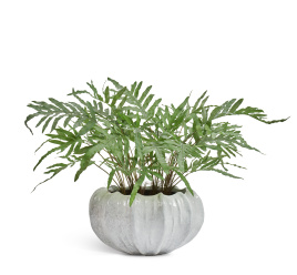 Сет № 123 - Композиция с папоротником Рэббит Фут в кашпо Treez Effectory Aura