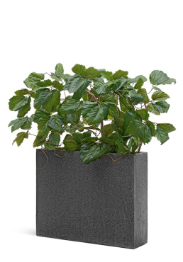 Сет № 133 - Композиция с тетрастигмой в кашпо Treez Effectory Stone