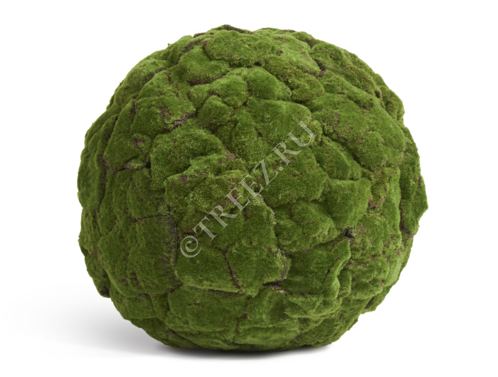 Шар из мха (Арт-объект) фото