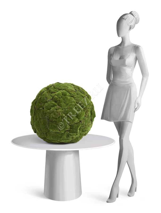 Шар из мха (Арт-объект) фото