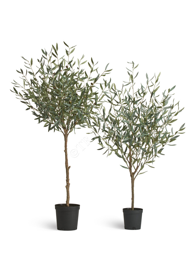 Олива Топиари Нэйчерел (серия Prime) фото