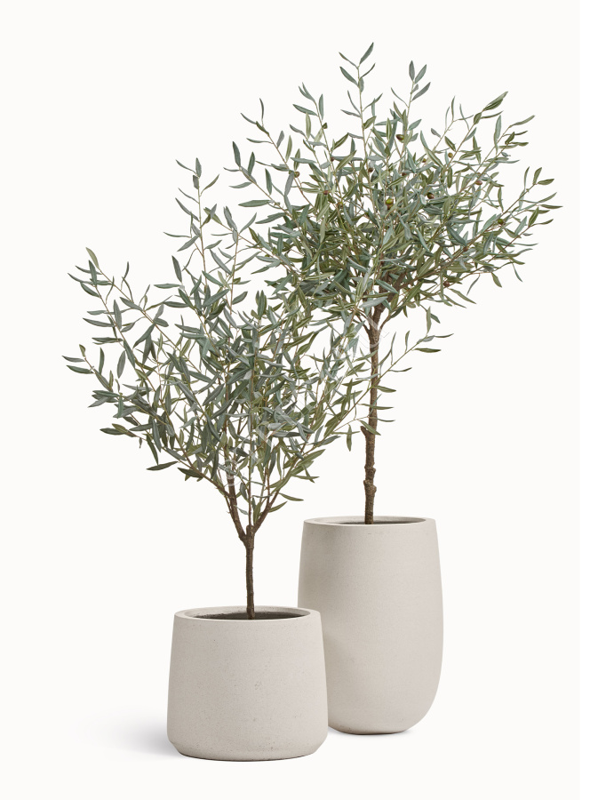 Олива Топиари Нэйчерел (серия Prime) фото