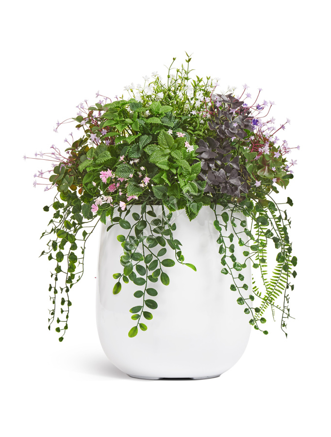 Цветущее разнотравье куст фото