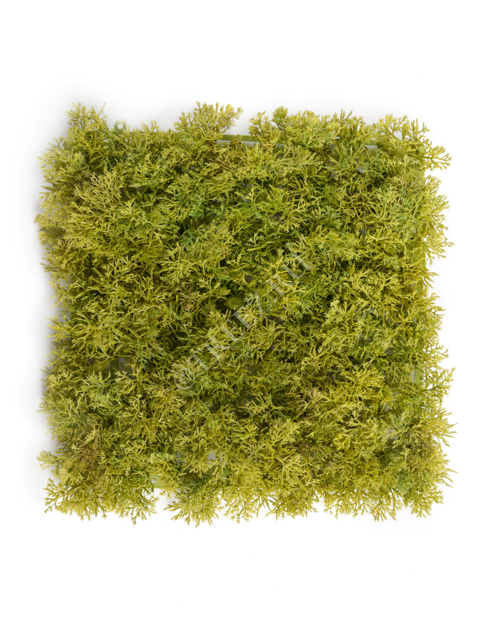 Мох Ягель светло-зелёный микс (коврик) фото