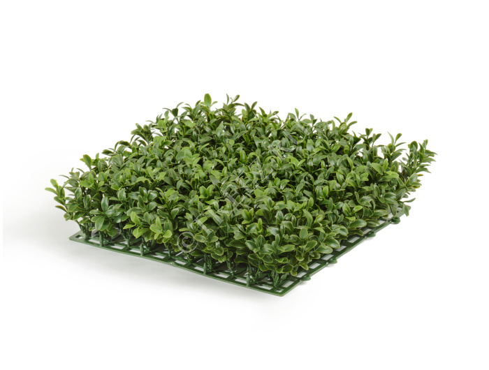 Коврик Самшитовый Новый (пластик) фото