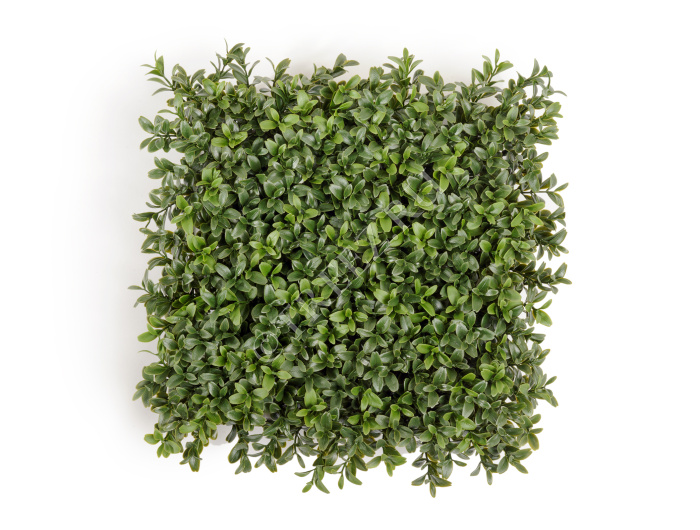 Коврик Самшитовый Новый (пластик) фото