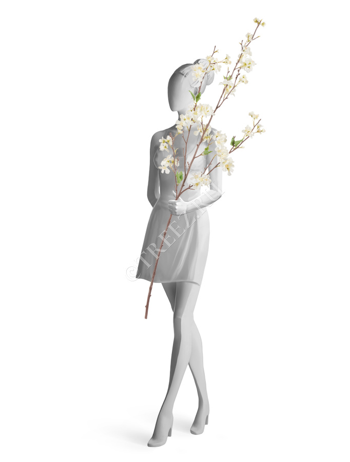 Ветка Сакуры белая Дворец императора средняя фото