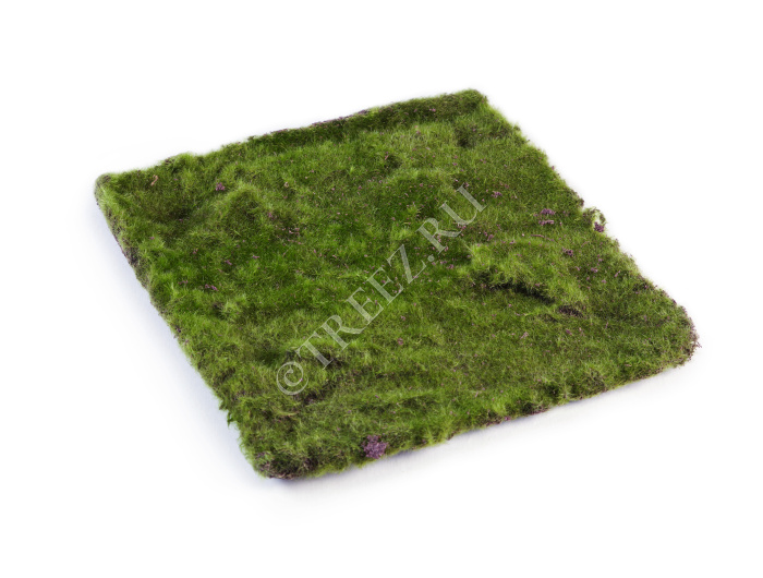 Мох Квадратный 30х30 см фото
