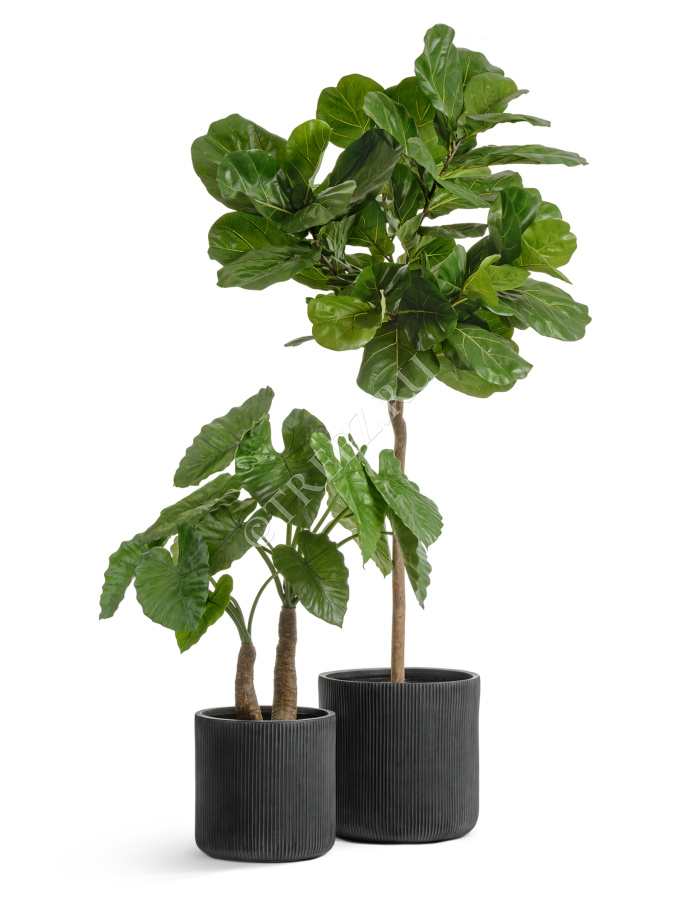 Кашпо TREEZ ERGO - Jet - Цилиндр - Антрацит фото