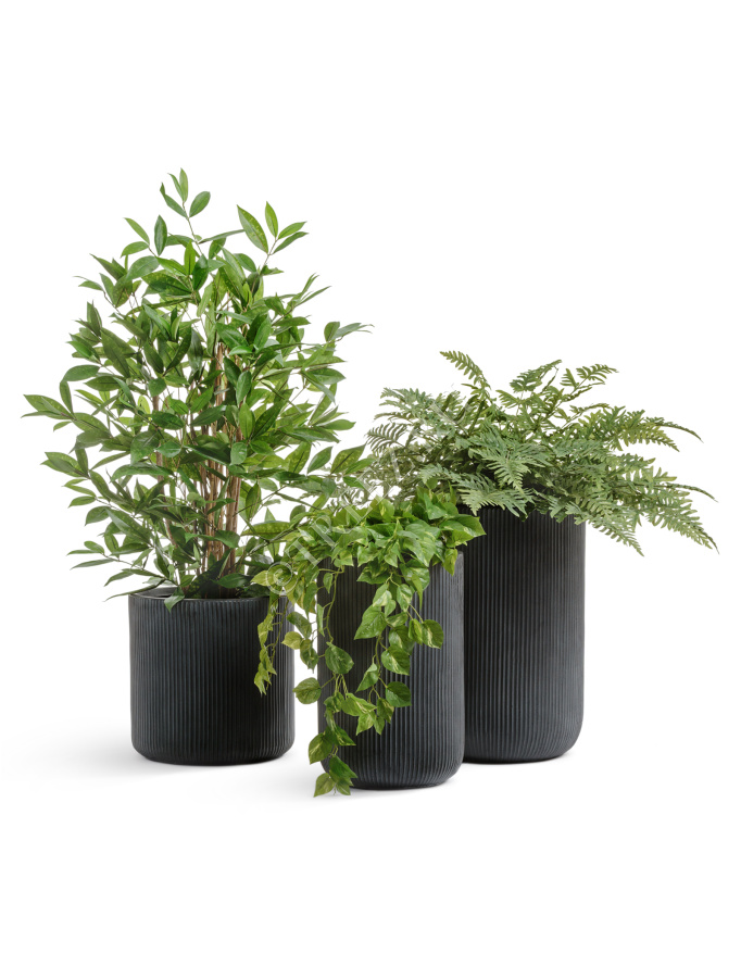 Кашпо TREEZ ERGO - Jet - Цилиндр - Антрацит фото