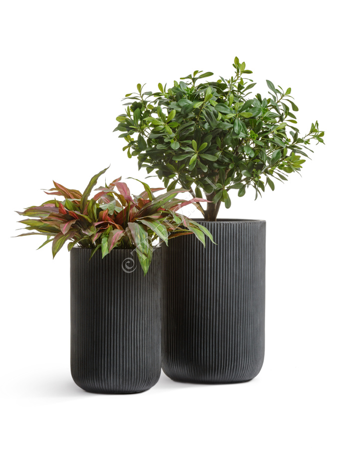 Кашпо TREEZ ERGO - Jet - Высокий цилиндр - Антрацит фото