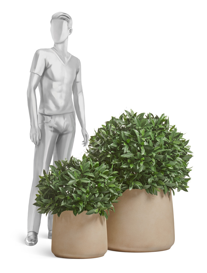 Кашпо TREEZ ERGO - Fine Rock - Чаша Cone - Песок тёплый беж фото