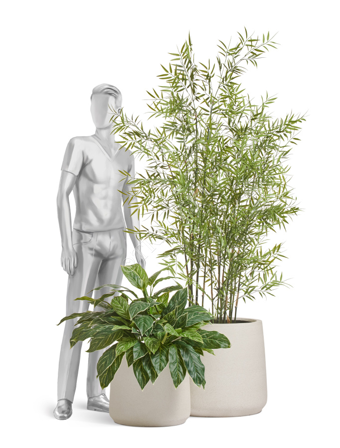 Кашпо TREEZ ERGO - Fine Rock - Чаша Cone - Белый камень фото