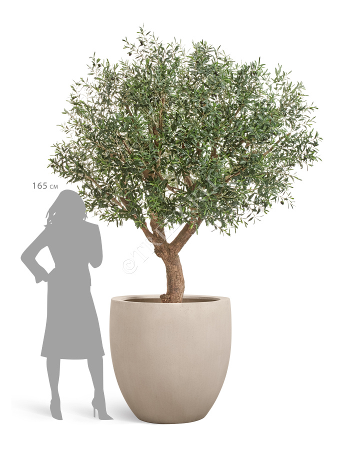 Кашпо TREEZ Effectory - Beton - Большой округлый конус - Белый песок фото