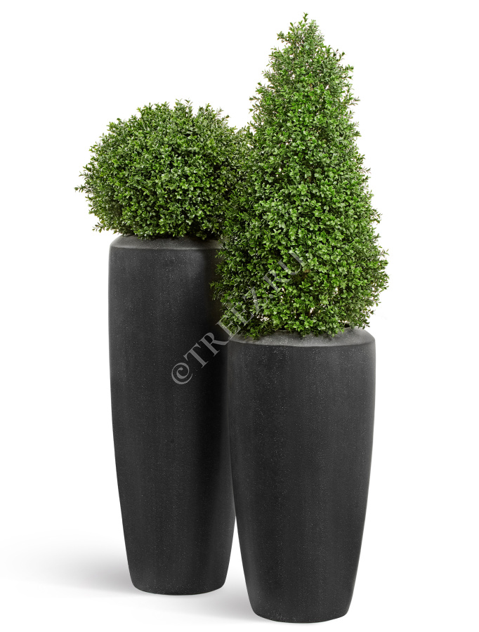 Кашпо TREEZ Effectory - Quartz - Высокий конус - Чёрный кварц фото