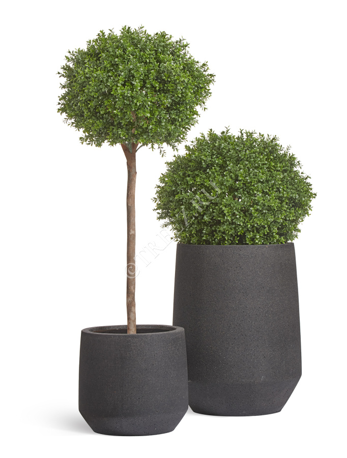 Кашпо TREEZ ERGO - Hard Rock - Высокая трапециевидная чаша - Чёрный песок фото