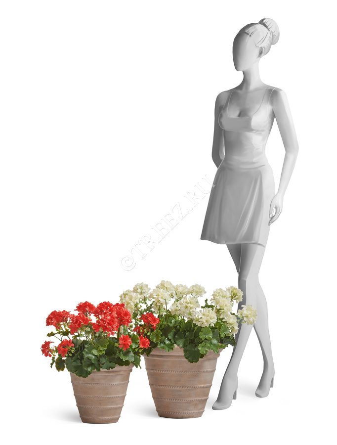 Кашпо TREEZ ERGO - Italica - Классический конус - Капучино фото