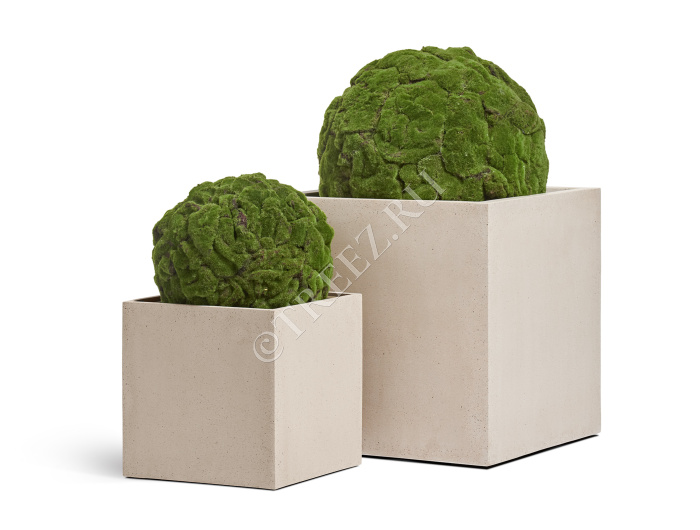 Кашпо TREEZ Effectory - Beton - Куб - Белый песок фото