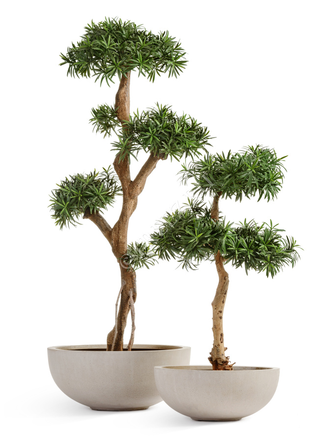 Кашпо TREEZ Effectory - Beton - Низкая сферическая чаша - Белый песок фото