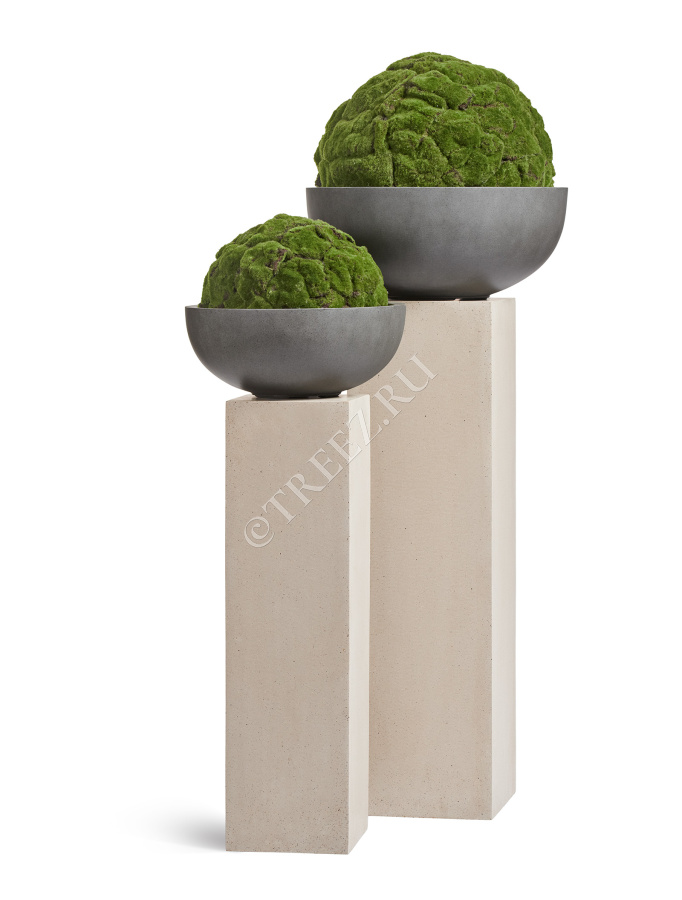 Кашпо TREEZ Effectory - Beton - Низкая сферическая чаша - Тёмно-серый бетон фото