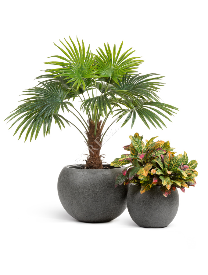 Кашпо TREEZ Effectory - Stone - Большая полусфера - Тёмно-серый камень фото