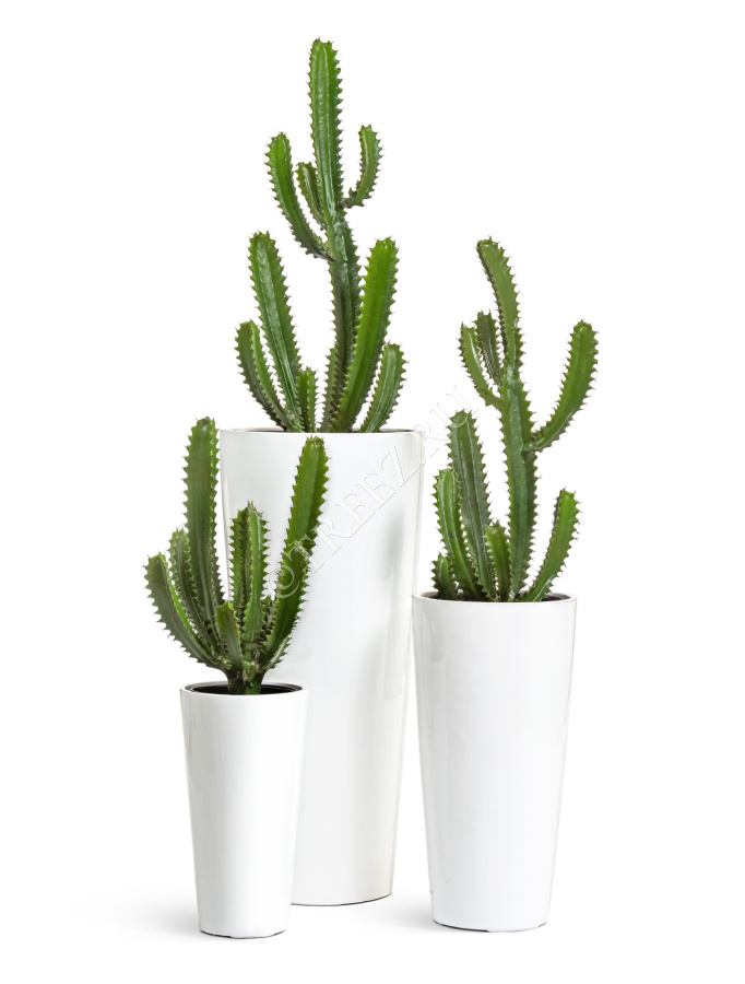 Кашпо TREEZ Effectory - Gloss - Высокий конус - Белый глянцевый лак фото