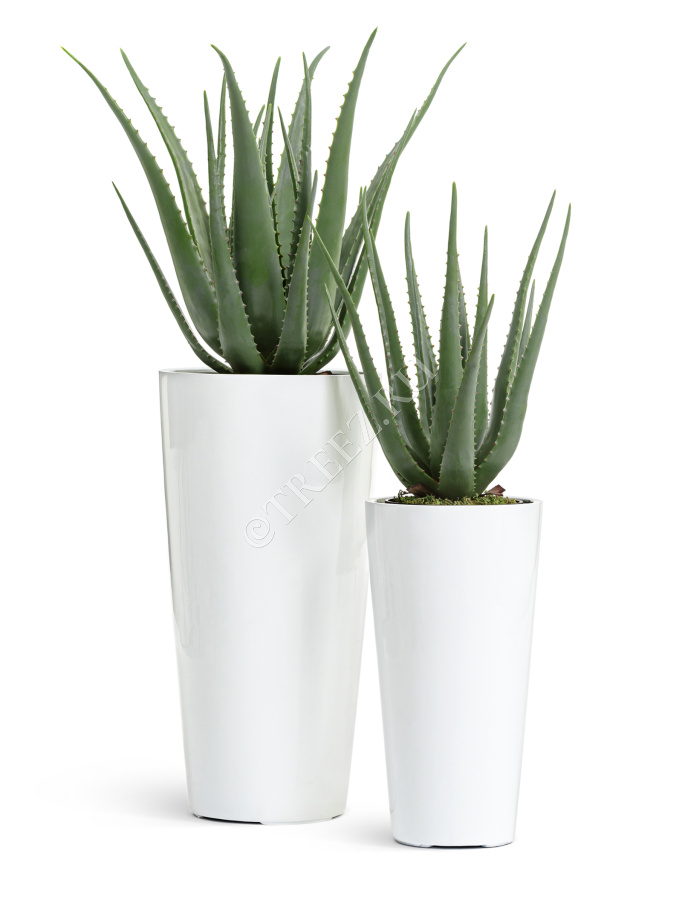 Кашпо TREEZ Effectory - Gloss - Высокий конус - Белый глянцевый лак фото