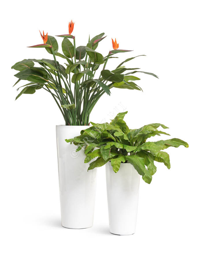 Кашпо TREEZ Effectory - Gloss - Высокий конус - Белый глянцевый лак фото