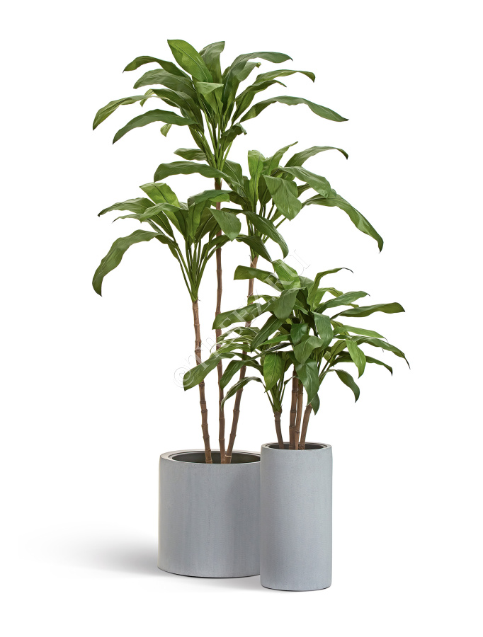 Кашпо TREEZ Effectory - Beton - Цилиндр - Серый ледник фото