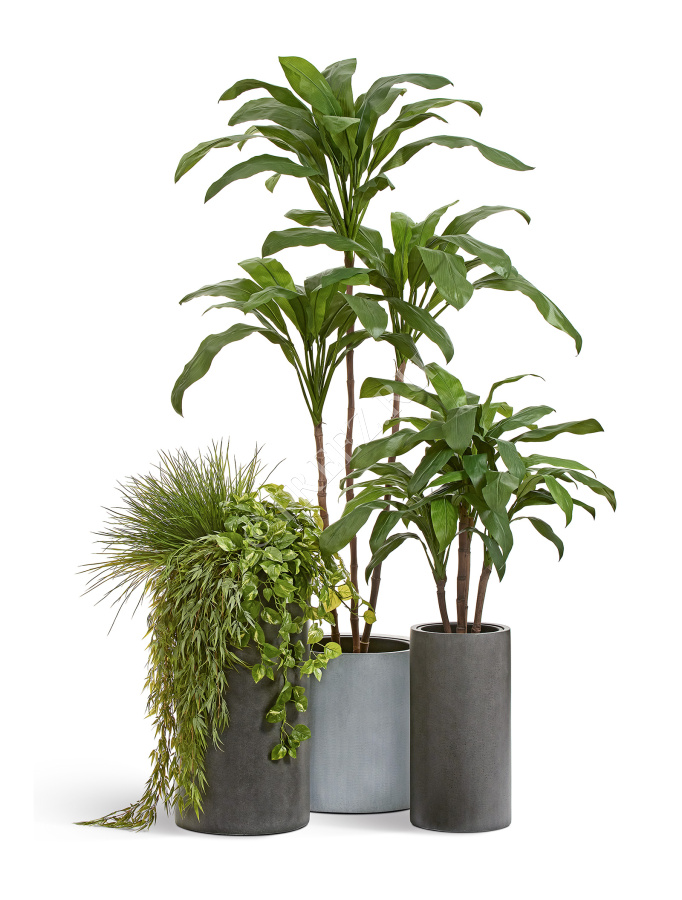 Кашпо TREEZ Effectory - Beton - Высокий цилиндр - Тёмно-серый бетон фото