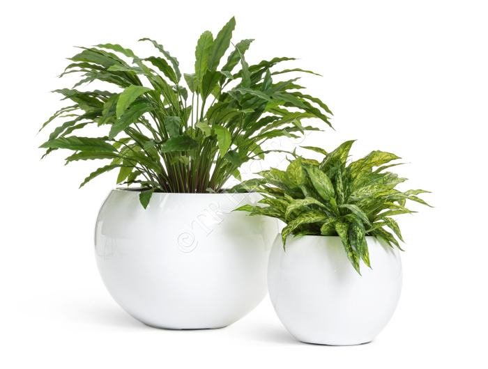 Кашпо TREEZ Effectory - Gloss - Полусфера - Белый глянцевый лак фото