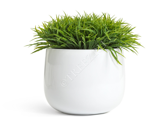 Кашпо TREEZ Effectory - Gloss - Низкая широкая чаша - Белый глянцевый лак фото