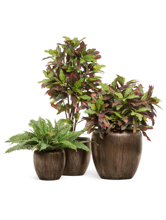 Кашпо TREEZ Effectory - Wow - Конус-Чаша - Тёмное матовое золото фото