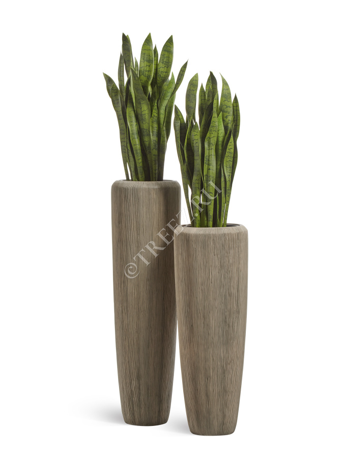 Кашпо TREEZ Effectory - Wow - Высокий конус Design - Капучино фото