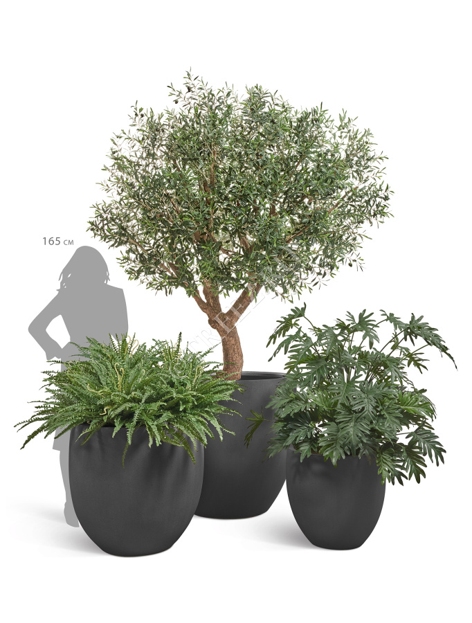 Сет № 8 - Композиция с Оливковым деревом в кашпо Treez Effectory Beton округлый конус фото