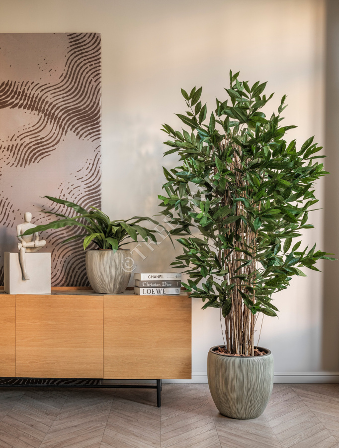 Сет № 42 - Композиция в кашпо Treez Effectory Wow Капучино фото