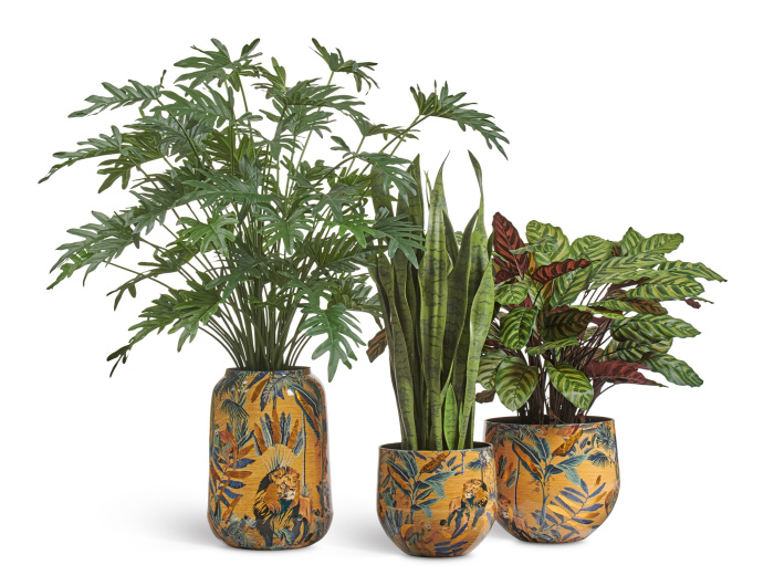 Сет № 55 - Композиция с Сансевиерией и Калатеей в кашпо Treez Effectory Savage Garden фото