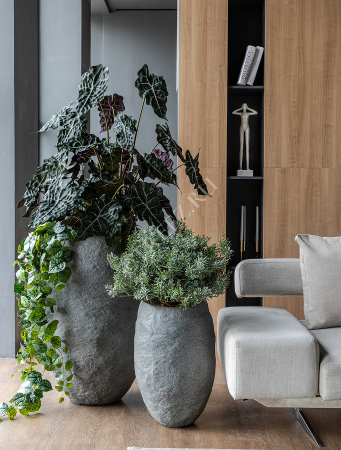 Сет № 57 - Композиция с Алоказией и Кроссостефиумом Миллер в кашпо Treez Effectory Organic фото