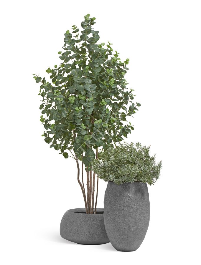 Сет № 59 - Композиция с Эвкалиптом и Кроссостефиумом Миллер в кашпо Treez Effectory Organic фото