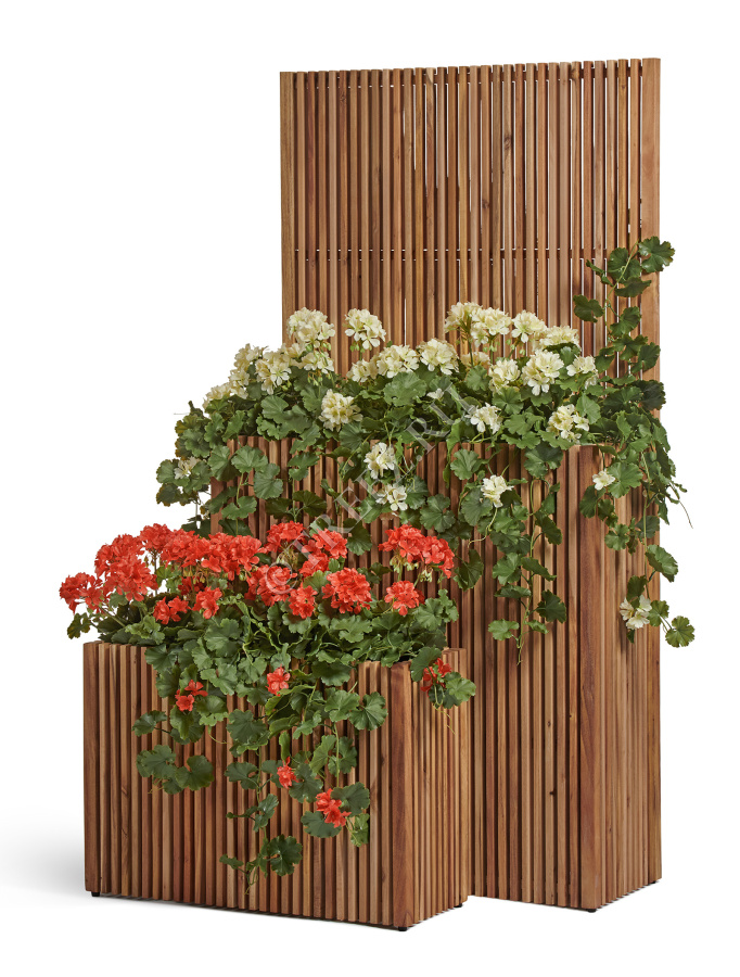 Сет № 67 - Композиция с Геранью в кашпо Treez Effectory Timberline фото