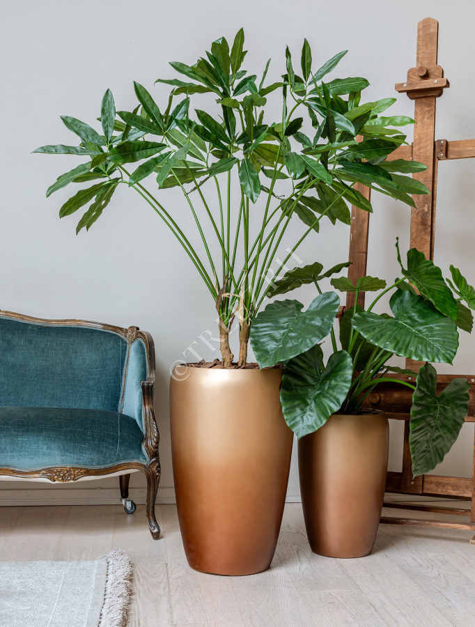 Сет № 100 - Композиция с филодендроном в матовых кашпо Treez Effectory Metal фото